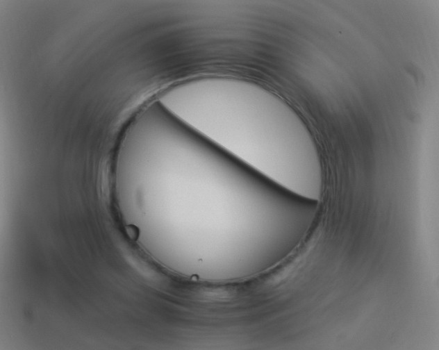 X0000114520349200910190954