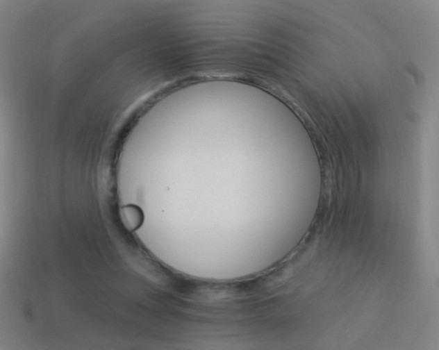 X0000114520351200910190954