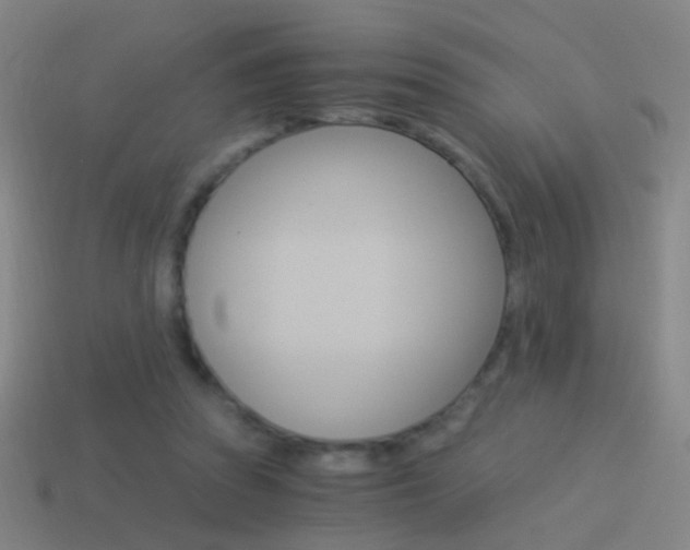X0000114520353200910190954