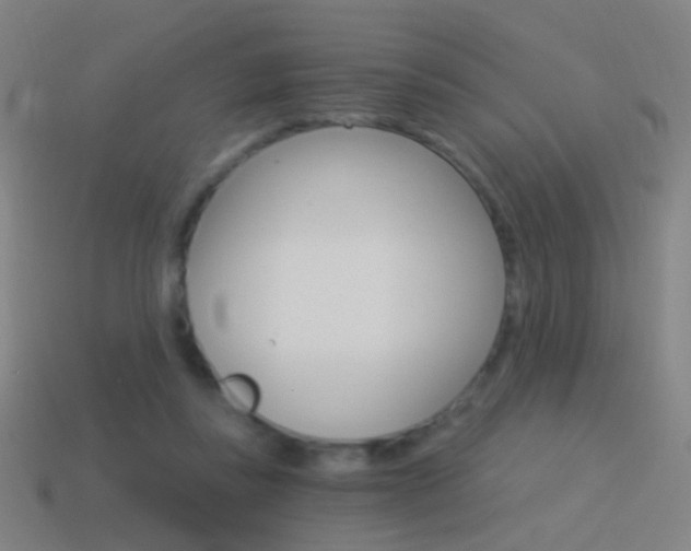 X0000114520355200910190954