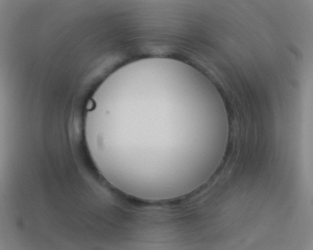 X0000114520358200910190954