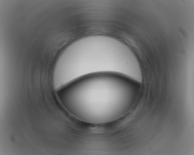 X0000114520362200910190954