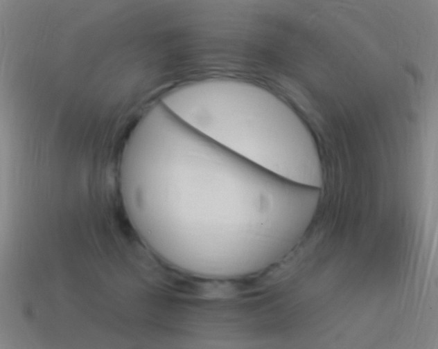 X0000114520363200910190954