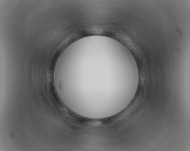 X0000114520374200910190954