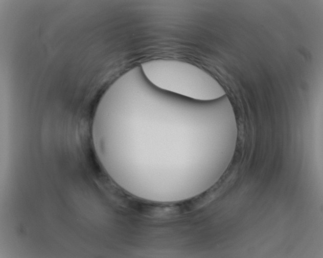 X0000114520375200910190954