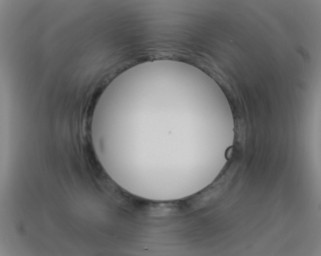 X0000114520378200910190954