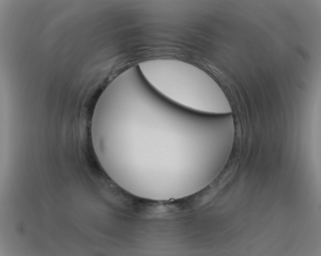 X0000114520379200910190955