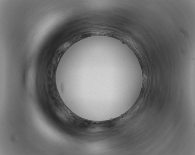 X0000114520381200910190955