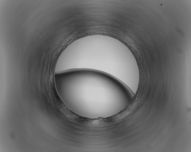 X0000114520382200910190955