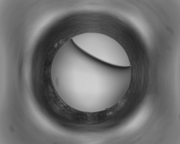 X0000114520383200910190955