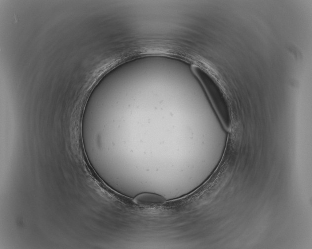 X0000114520385200910190954