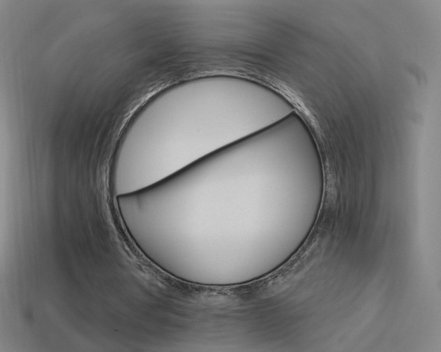 X0000114520386200910190954
