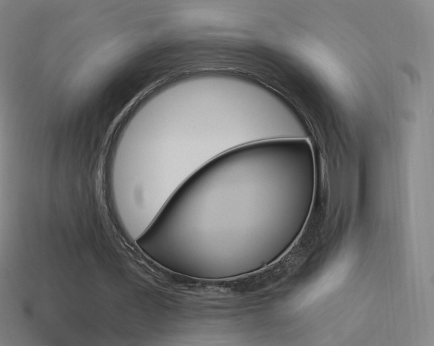 X0000114520387200910190954