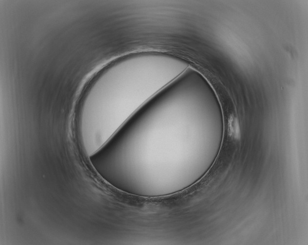 X0000114520388200910190954