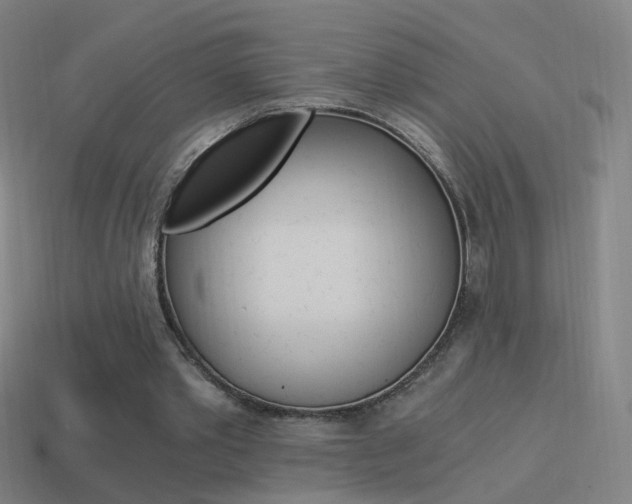 X0000114520389200910190954