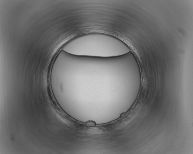 X0000114520390200910190954