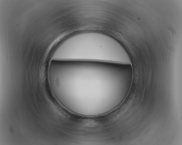 X0000114520392200910190954