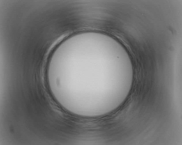 X0000114520395200910190954