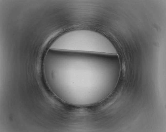 X0000114520396200910190954