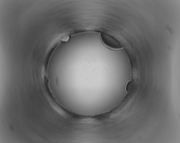 X0000114520397200910190954