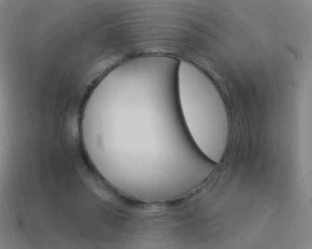 X0000114520398200910190954