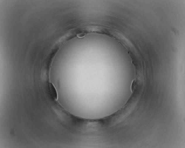 X0000114520401200910190954