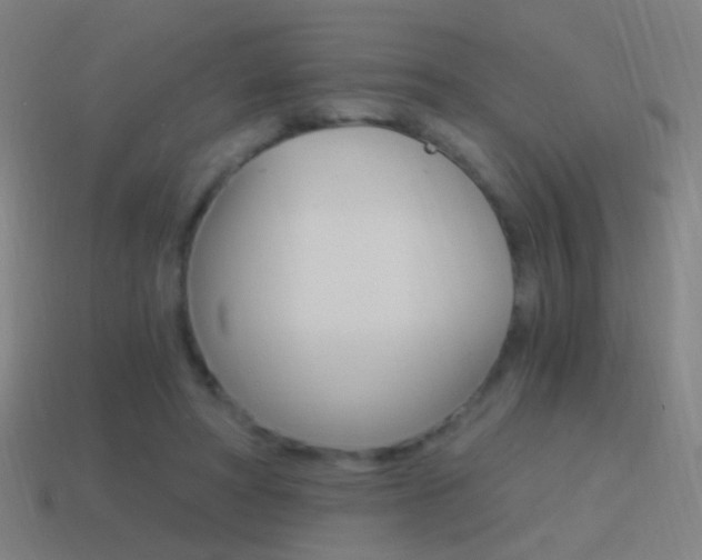 X0000114520402200910190954