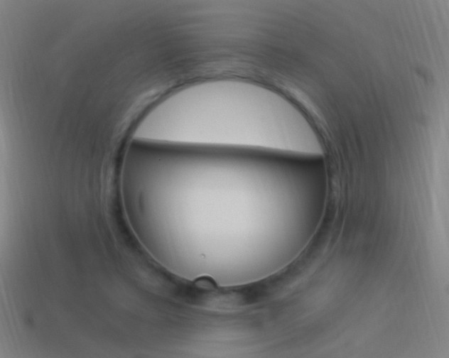 X0000114520403200910190954