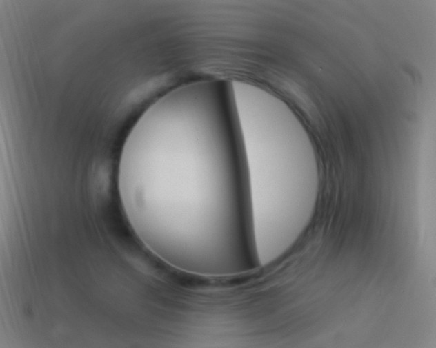 X0000114520404200910190954