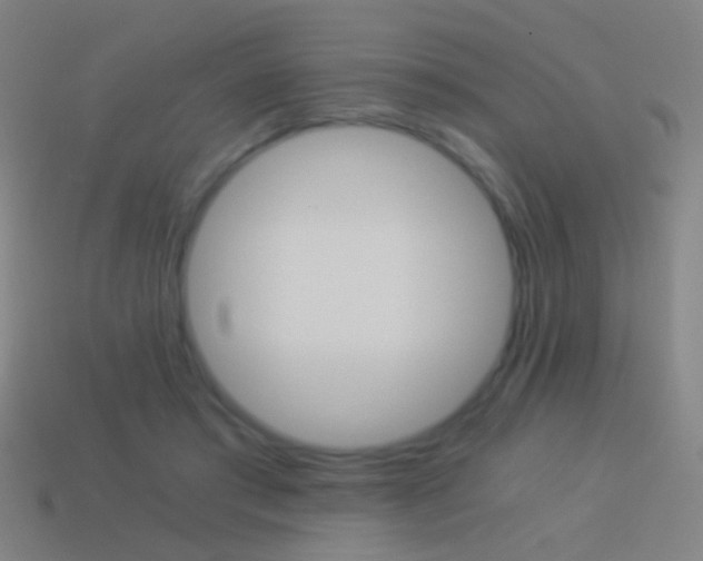 X0000114520405200910190954