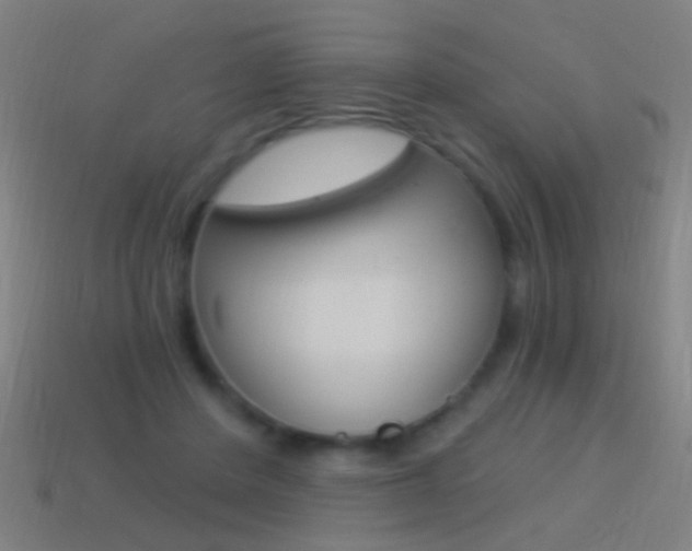 X0000114520408200910190954