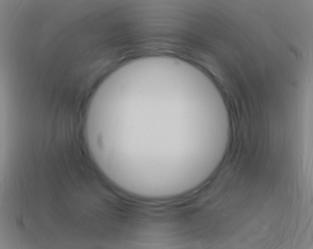 X0000114520411200910190954