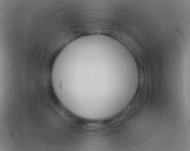 X0000114520414200910190954