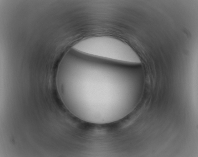 X0000114520416200910190954