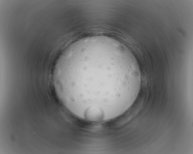 X0000114520418200910190954