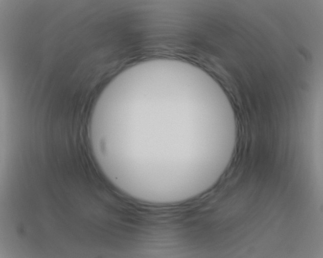 X0000114520419200910190954