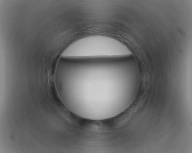 X0000114520420200910190954