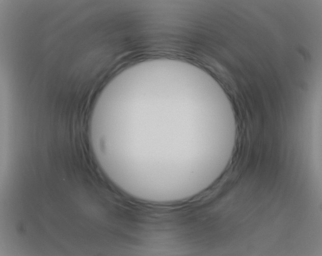 X0000114520421200910190953