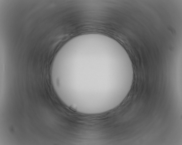 X0000114520423200910190953