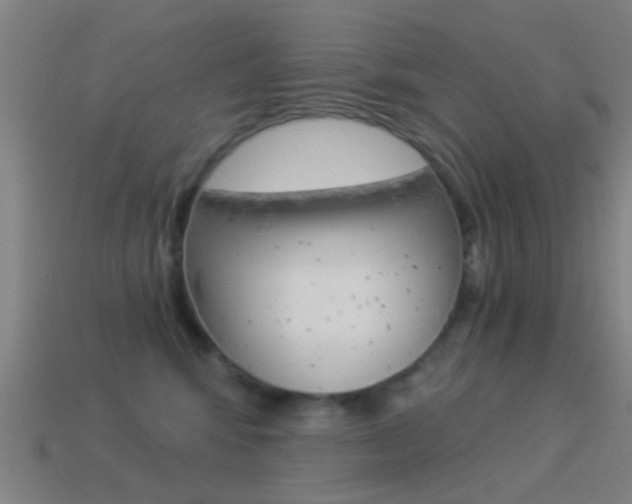 X0000114520424200910190953