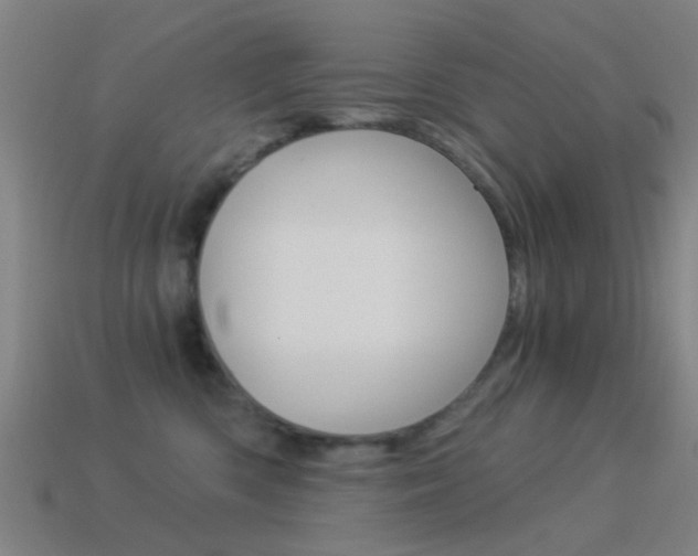 X0000114520426200910190953