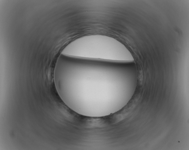 X0000114520428200910190953