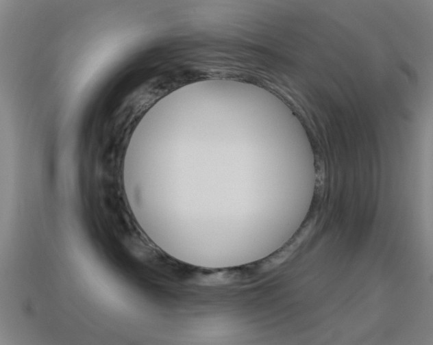 X0000114520430200910190953