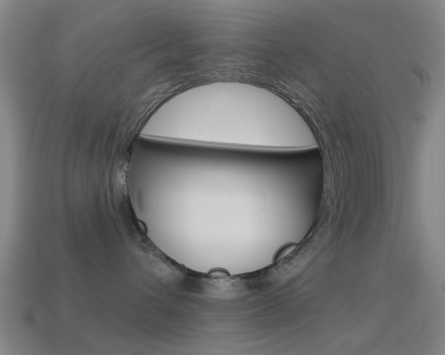 X0000114520432200910190953