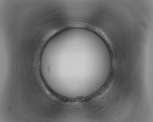 X0000114520433200910190953