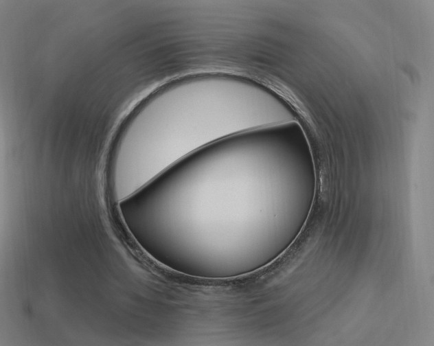 X0000114520436200910190953