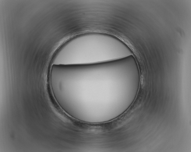 X0000114520438200910190953