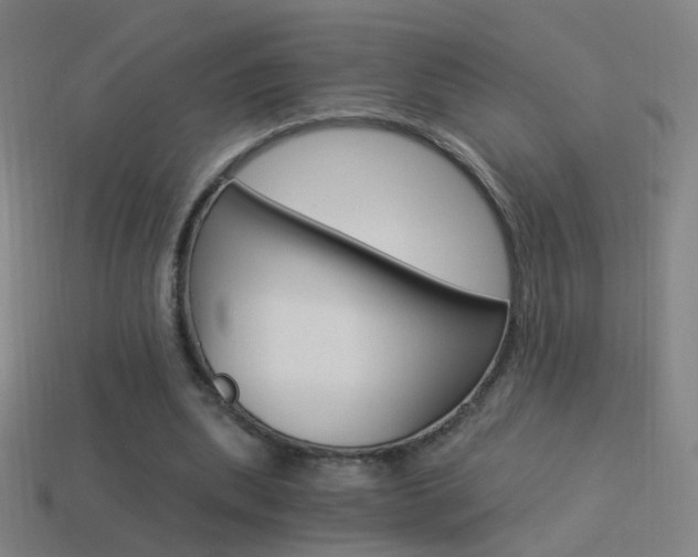 X0000114520439200910190953