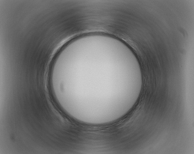 X0000114520440200910190953