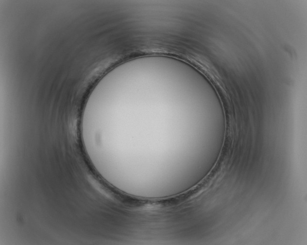 X0000114520441200910190953